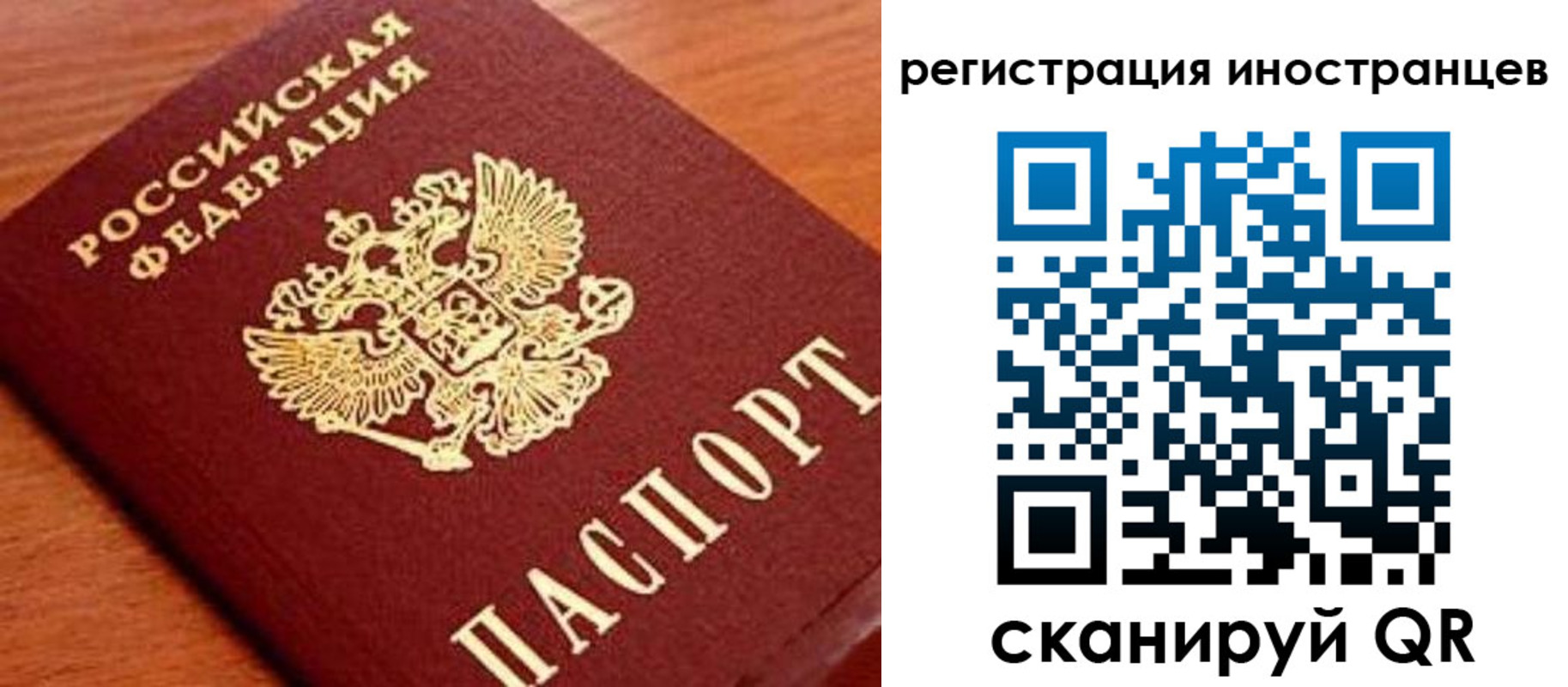 временная регистрация поиск в Ростовской области